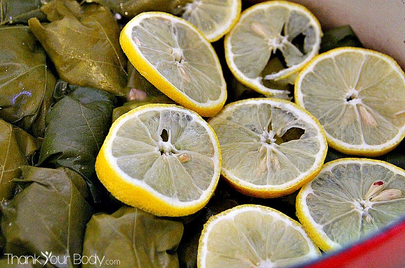 Recipe Stuffed Grape Leaves