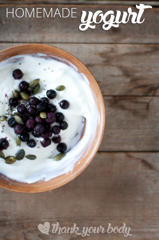 Homemade Yogurt